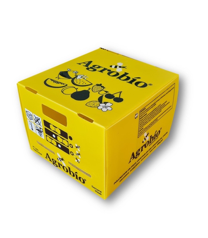 colmena de frutales 1 nido