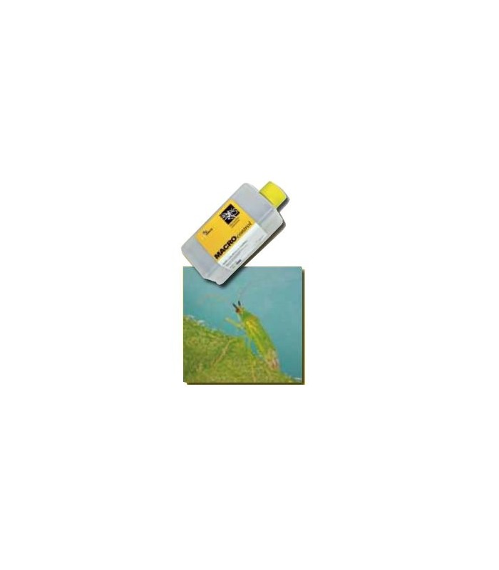 MACROCONTROL 500 Macrolophus caliginosus chinche depredador