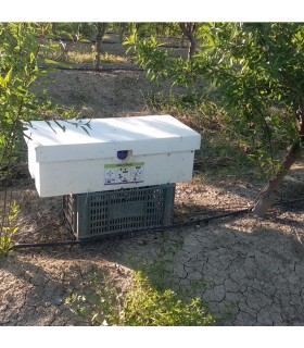 MULTI HIVE colmena triple de Biobest