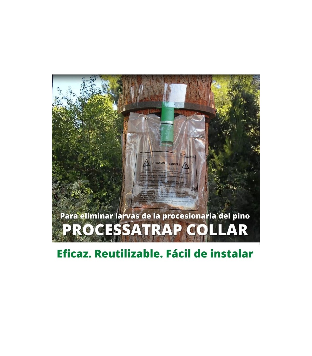 Processatrap trampa de collar para procesionaria