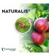 NATURALIS-L insecticida biológico de Beauveria bassiana 1L
