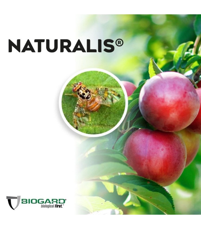 NATURALIS-L insecticida biológico de Beauveria bassiana 1L