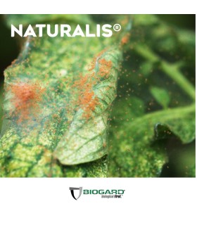 NATURALIS-L insecticida biológico de Beauveria bassiana 1L