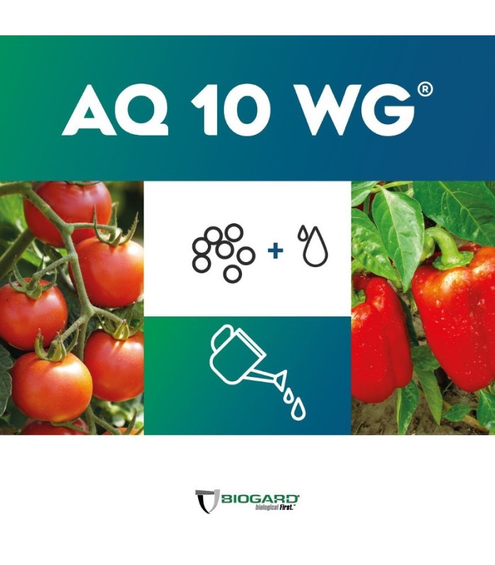 AQ-10 fungicida biológico anti oidio