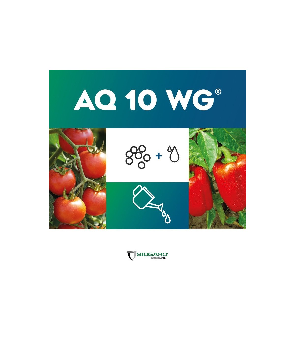 AQ-10 fungicida biológico anti oidio