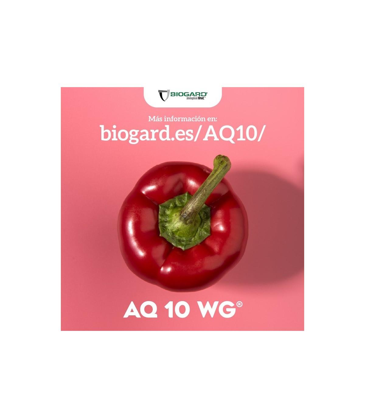 AQ-10 fungicida biológico anti oidio