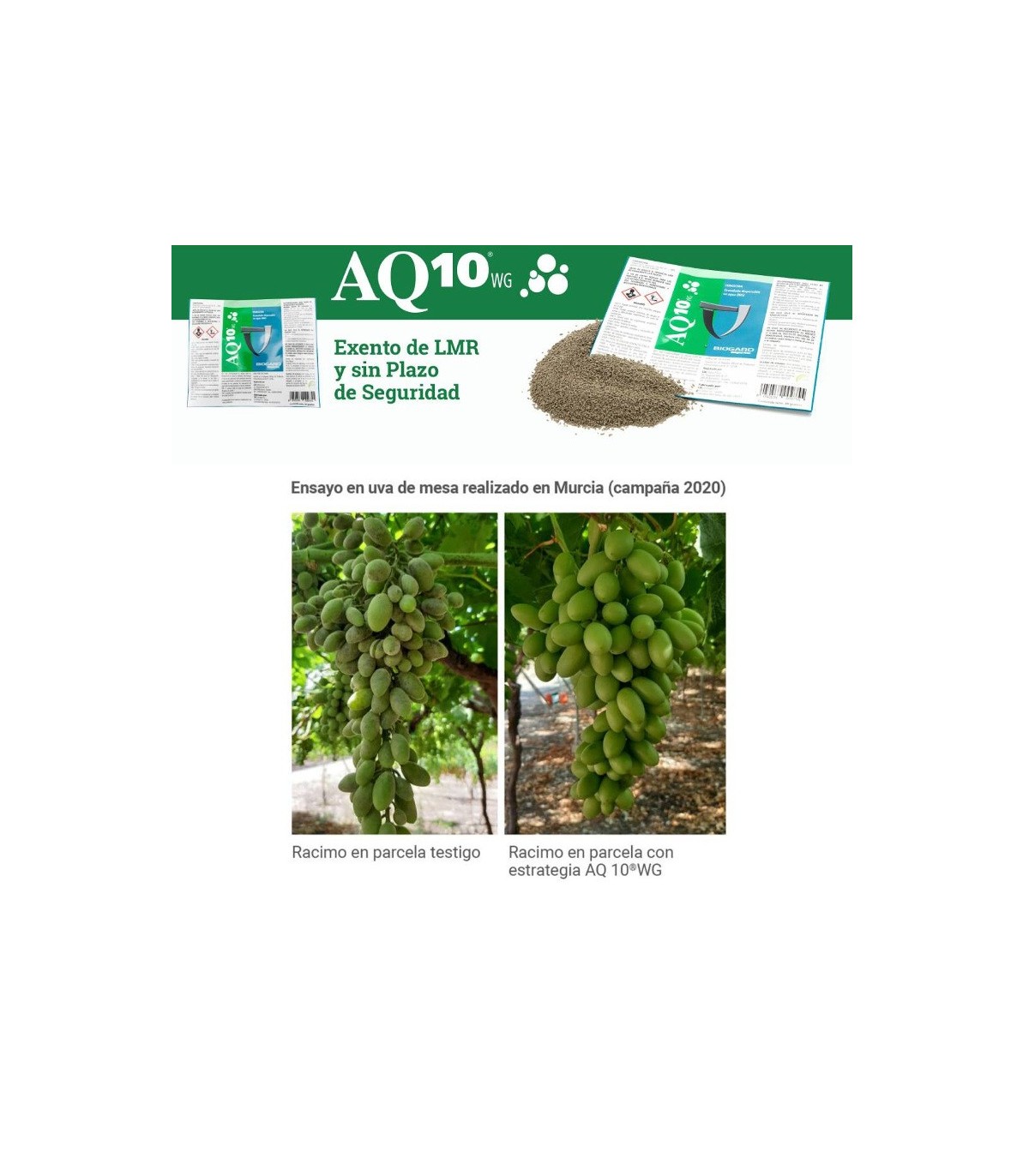AQ-10 fungicida biológico anti oidio