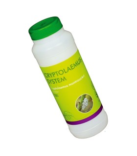 CRYPTOLAEMUS SYSTEM 500 mariquitas depredadoras de cotonet