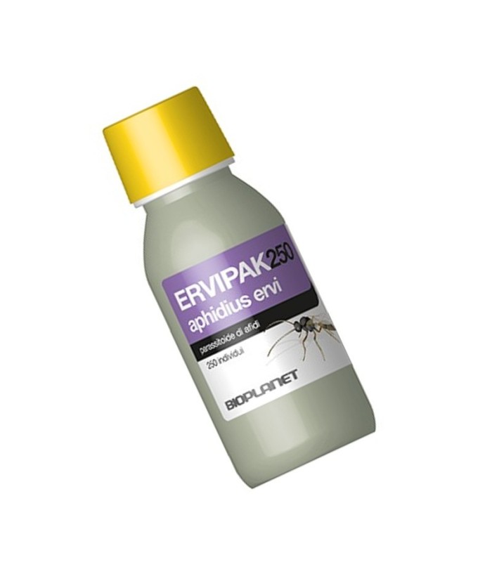 ERVIPAK 250 Aphidius ervi parasitoide de pulgones grandes