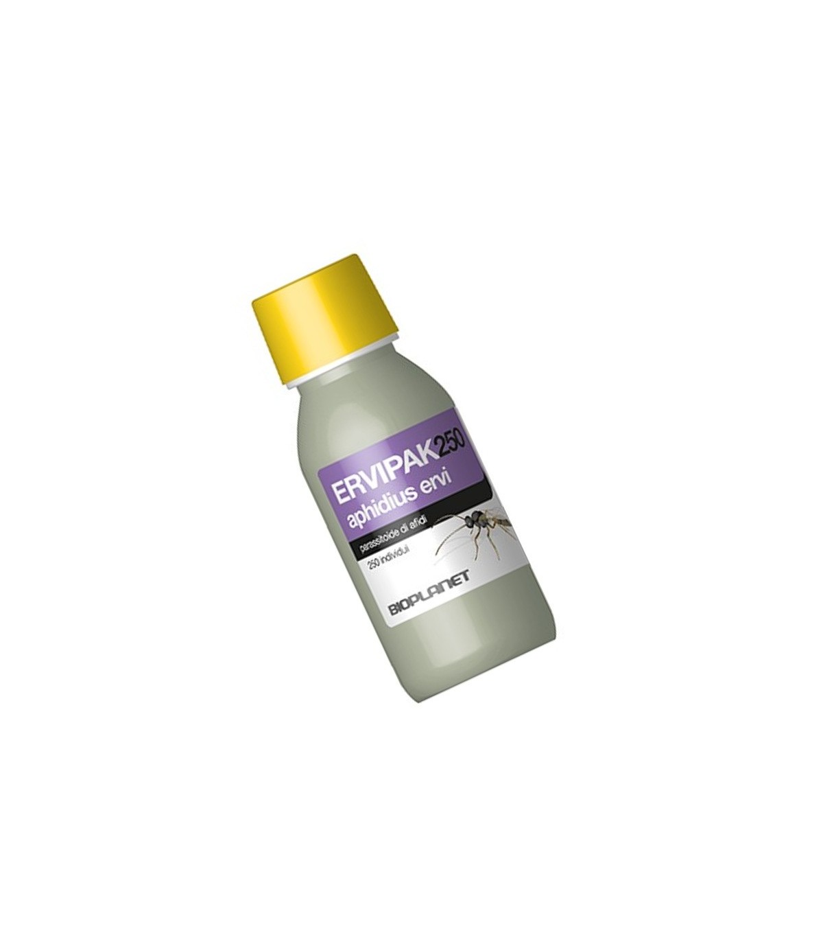 ERVIPAK 250 Aphidius ervi parasitoide de pulgones grandes