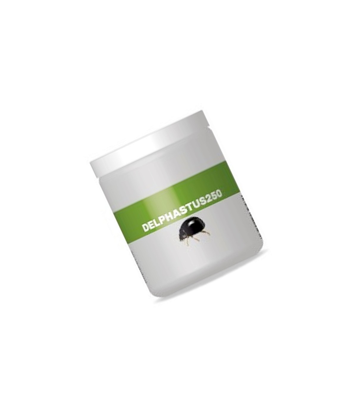 DELPHASTUS 250 contra mosca blanca