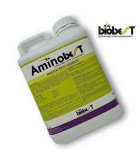 AMINOBEST 5L