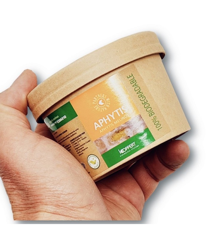 comprar aphytis melinus contra piojo rojo de california en cítricos