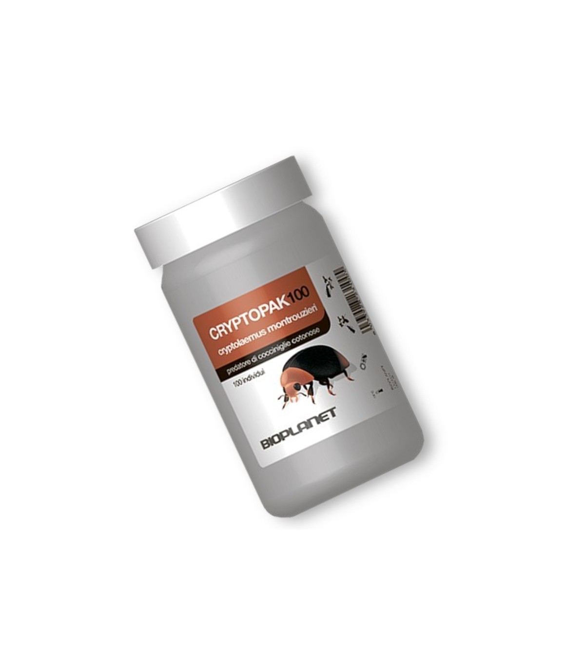 CRYPTOPAK100 depredador de cochinilla algodonosa