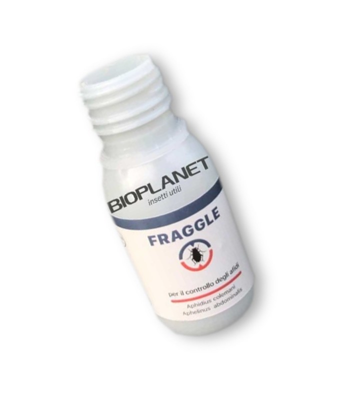 FRAGGLE 750 mix de parasitoides de pulgón
