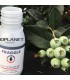 FRAGGLE 750 mix de parasitoides de pulgón