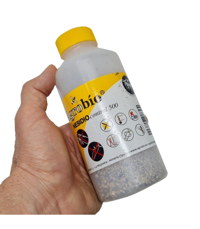 Nesidiocontrol 500 nesidiocoris contra tuta