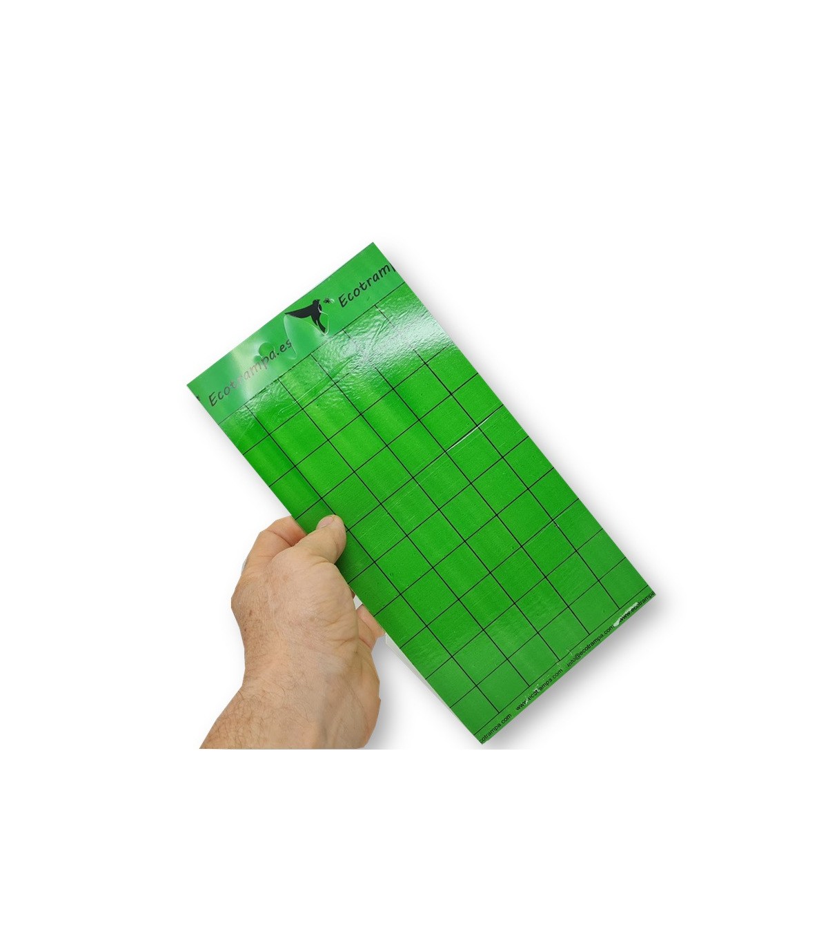 PLACA VERDE 15 x 30 cm individual