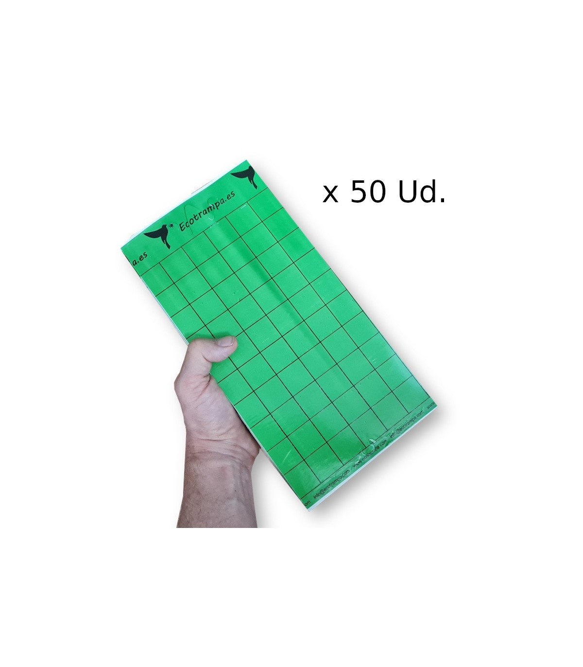 PLACA VERDE 15 x 30 cm individual