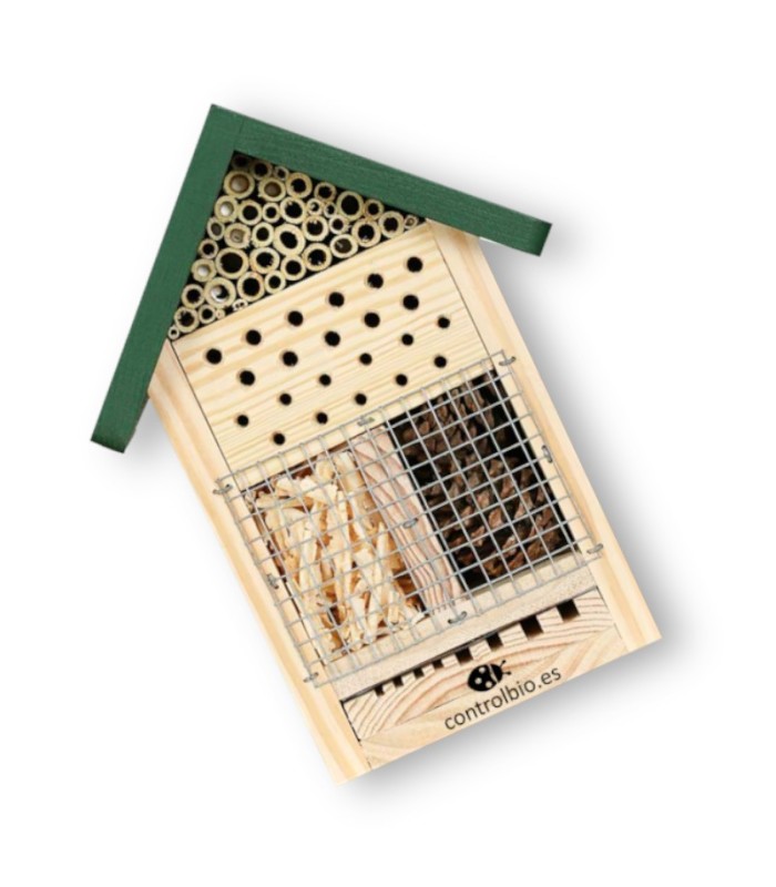 Hotel para insectos con observatorio