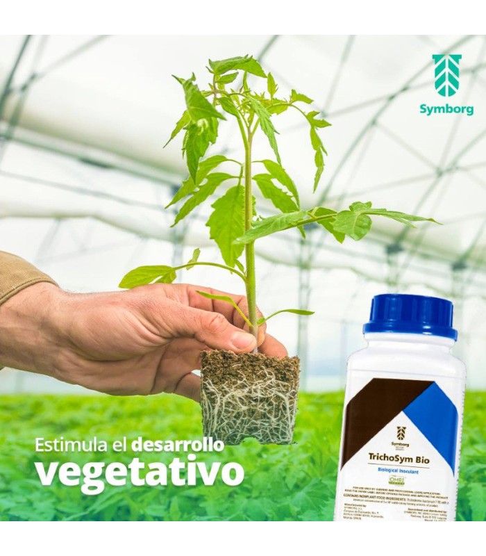 TrichoSym Bío inoculante  biológico con Trichoderma harzianum