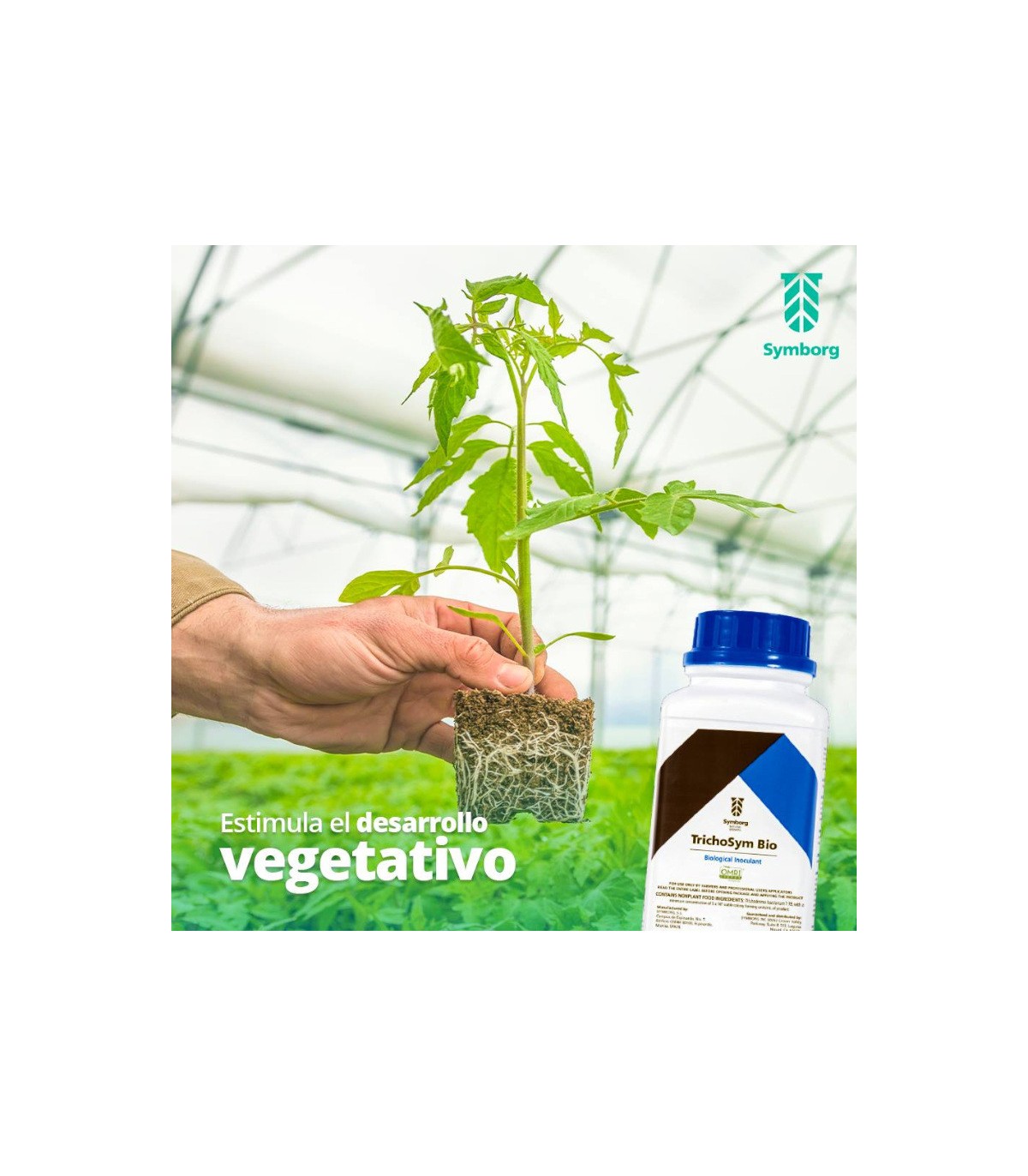 TrichoSym Bío inoculante  biológico con Trichoderma harzianum