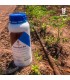 TrichoSym Bío inoculante  biológico con Trichoderma harzianum