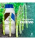 TrichoSym Bío inoculante  biológico con Trichoderma harzianum