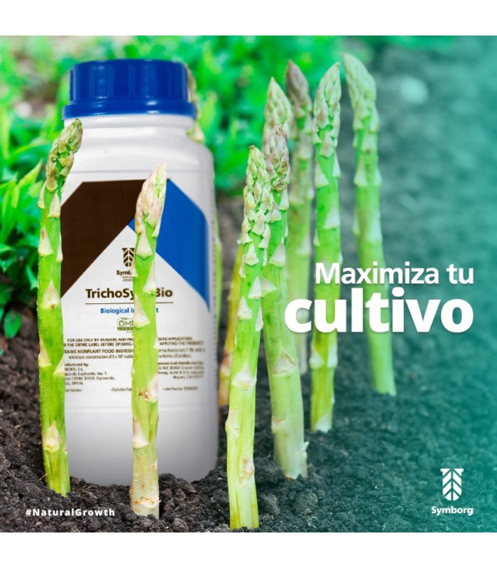 TrichoSym Bío inoculante  biológico con Trichoderma harzianum