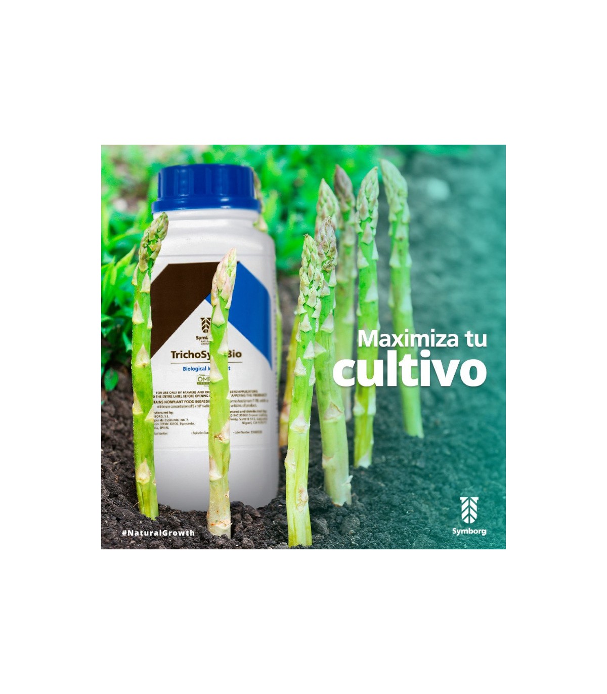 TrichoSym Bío inoculante  biológico con Trichoderma harzianum