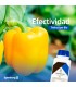 TrichoSym Bío inoculante  biológico con Trichoderma harzianum