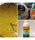 CERES-MIX WHEAT 1 L de Koppert bioprotector de semillas para cereales