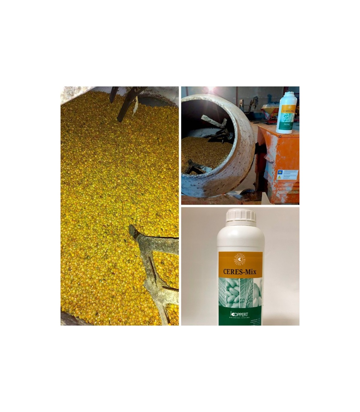 CERES-MIX WHEAT 1 L de Koppert bioprotector de semillas para cereales