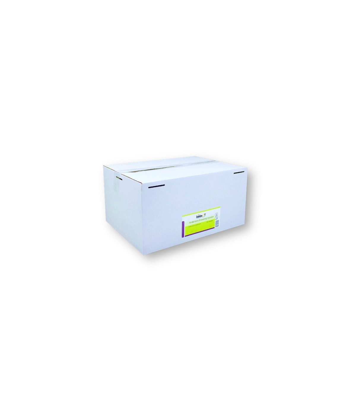 ANDERSONI Breeding system 250