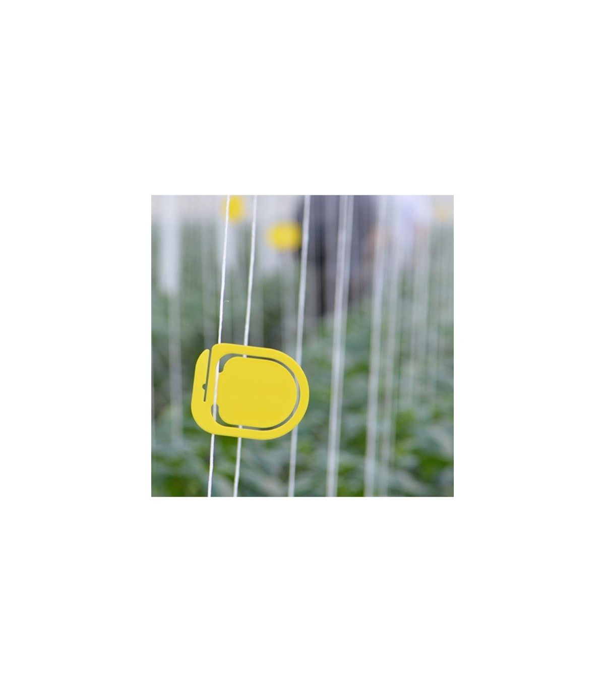 SIGNAL CLIPS YELOW x50 Ud.