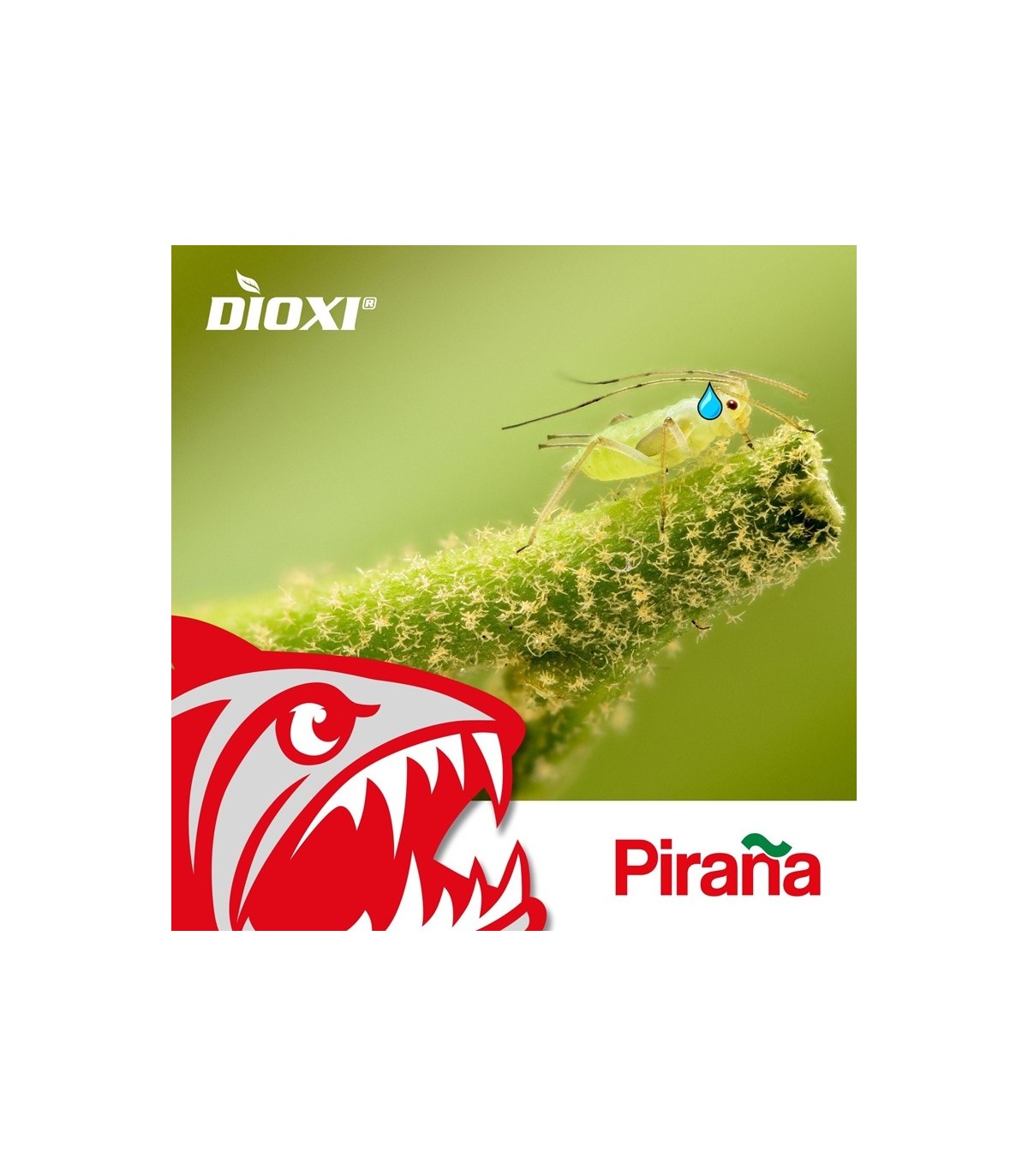 PIRAÑA 1L bioprotector sistémico ante pulgones