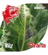 PIRAÑA 1L bioprotector sistémico ante pulgones