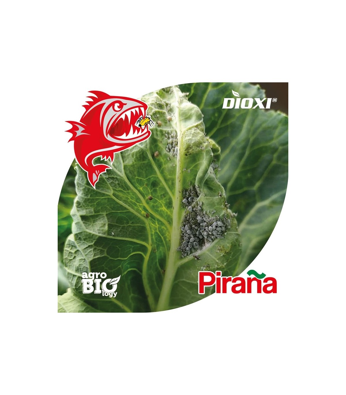 PIRAÑA 1L bioprotector sistémico ante pulgones