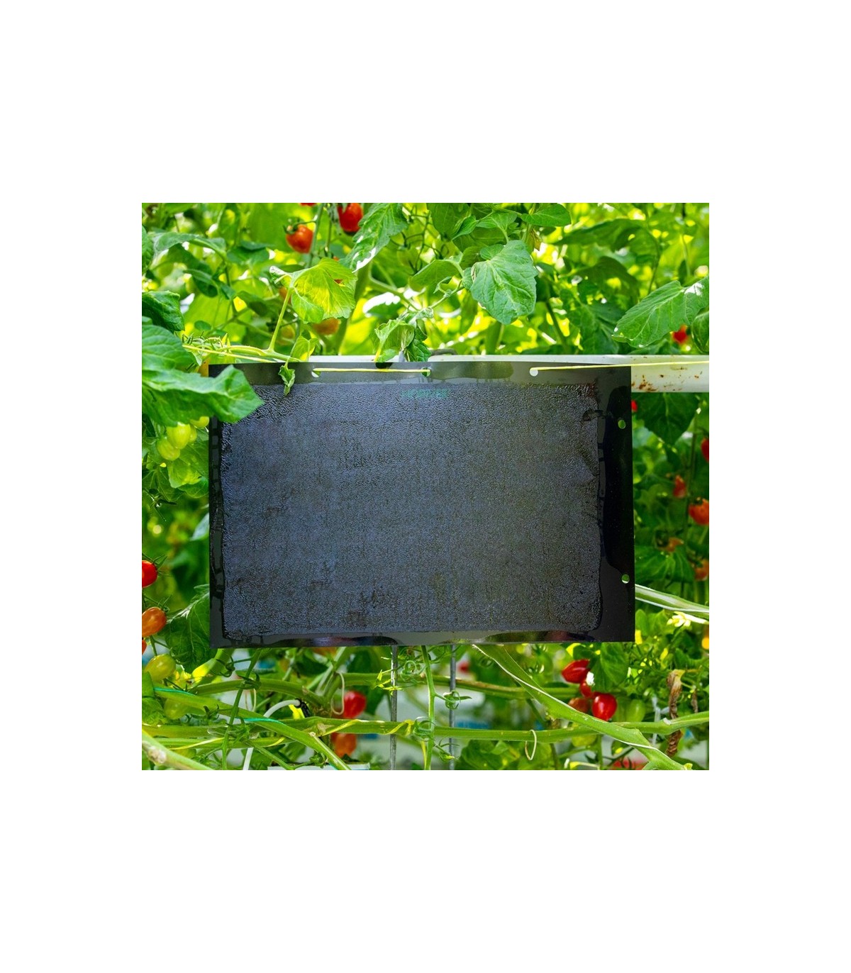HORIVER-TR. 40x25 NEGRA Trampa cromática