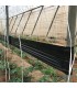 ROLLO NEGRO TUTA 30 cm X 100 m.