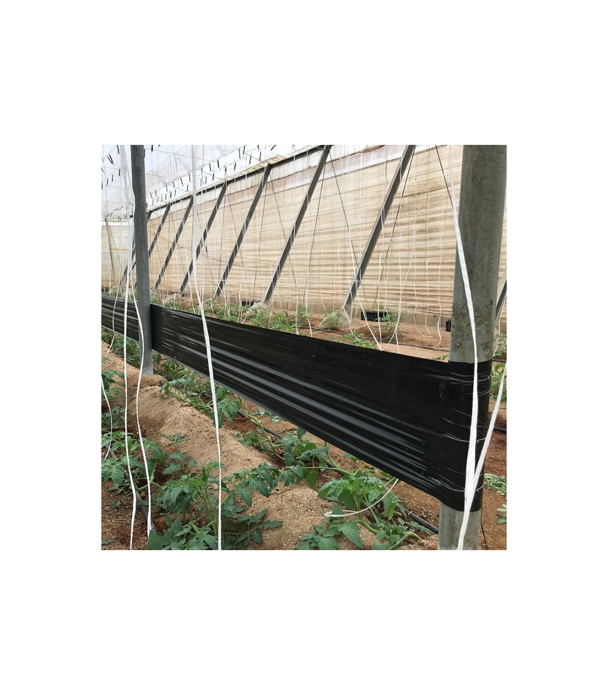 ROLLO NEGRO TUTA 30 cm X 100 m.