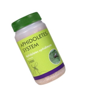 APHIDOLETES SYSTEM  depredador de pulgones bote con 2.000 pupas