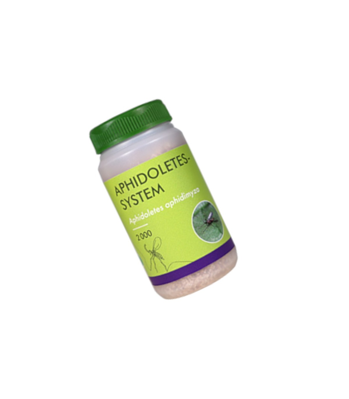 APHIDOLETES SYSTEM  depredador de pulgones bote con 2.000 pupas