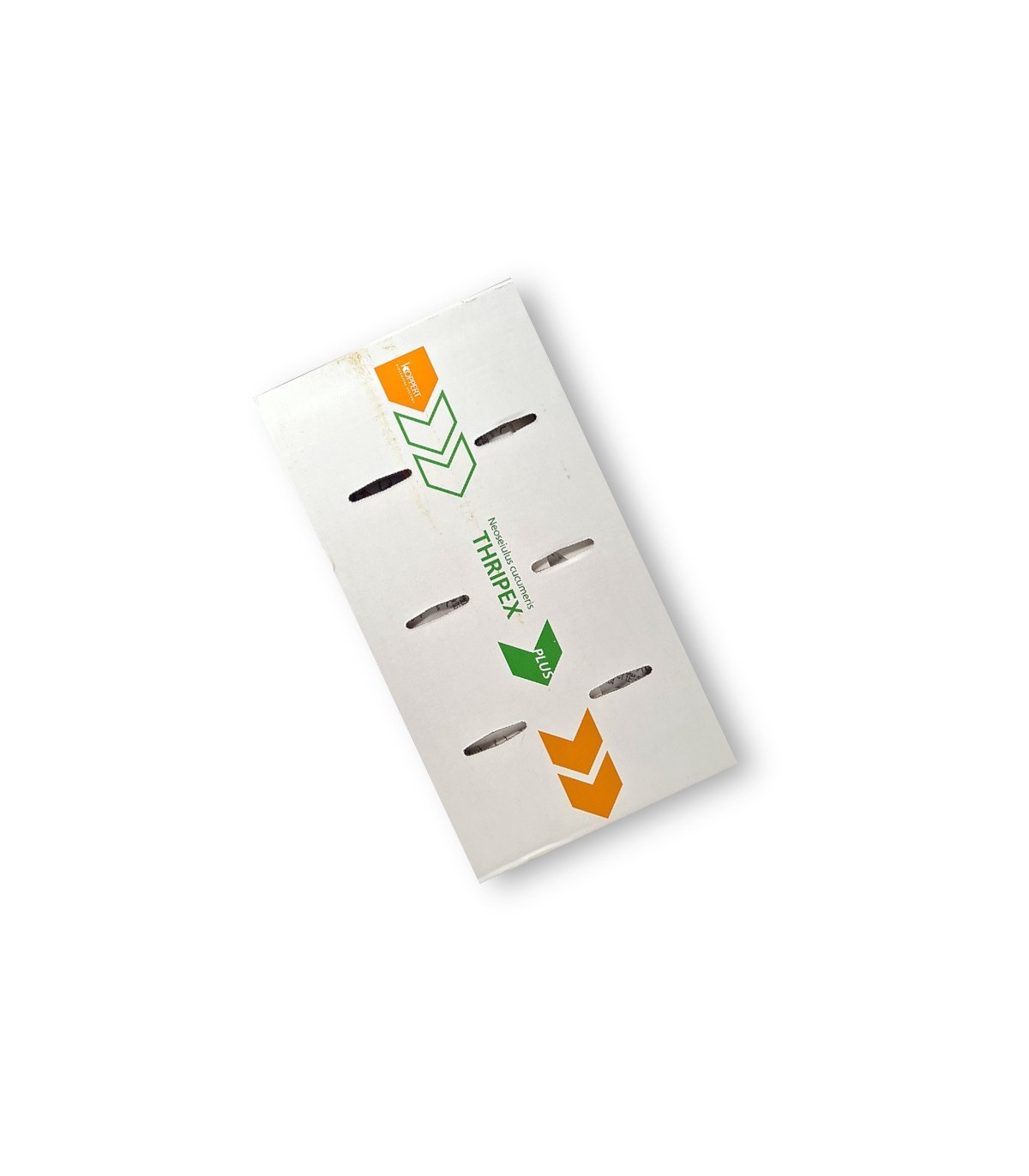 Caja de 500 sobres con 1000 ud cada uno de Amblyseius cucumeris para control de trips