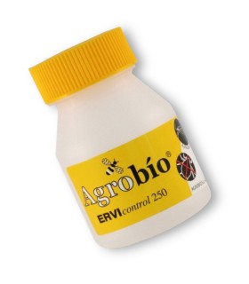 ERVIcontrol 250 Aphidius ervi contra pulgón