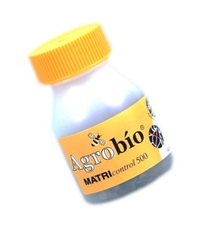 MATRIcontrol 500 Aphidius matricariae parasitoide de pulgones