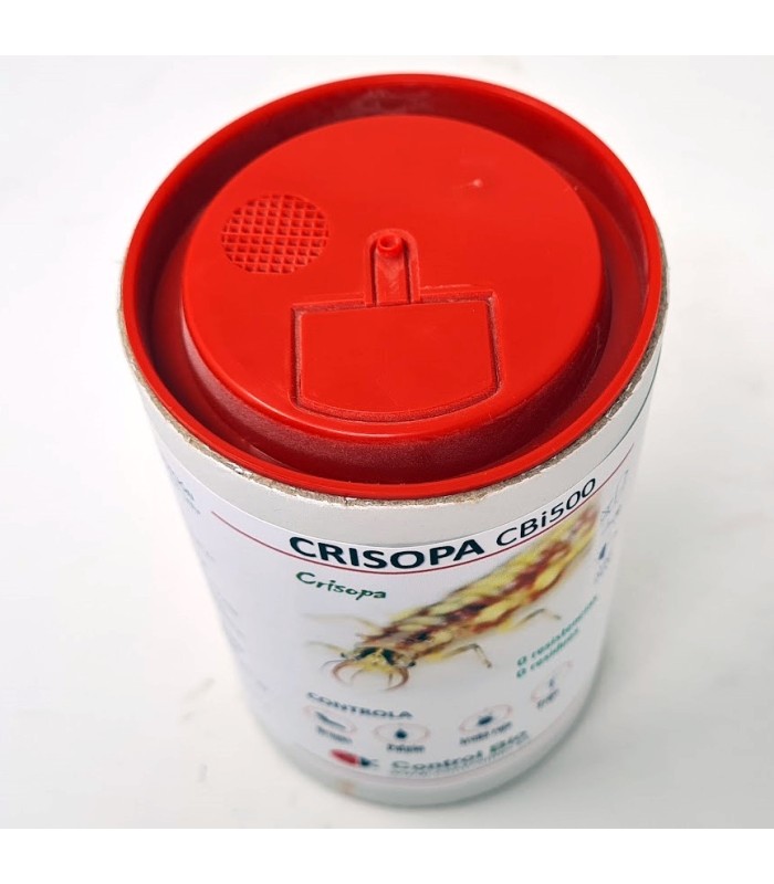 CRISOPA CBi 500 Chrysoperla carnea