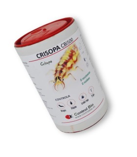 CRISOPA CBi 500 Chrysoperla carnea