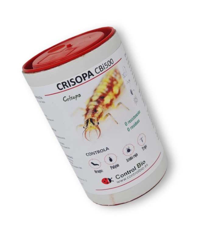 CRISOPA CBi 500 Chrysoperla carnea