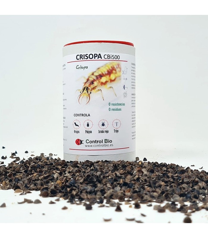 CRISOPA CBi 500 Chrysoperla carnea